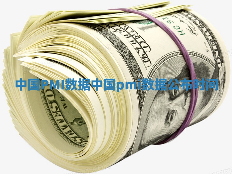 中国PMI数据_中国pmi数据公布时间