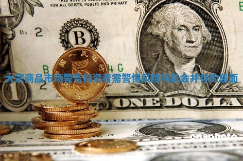 大宗商品市场警告投资者需警惕风险与机会并存的局面