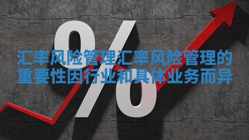 汇率风险管理_汇率风险管理的重要性因行业和具体业务而异