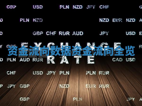 资金流向数据_资金流向全览